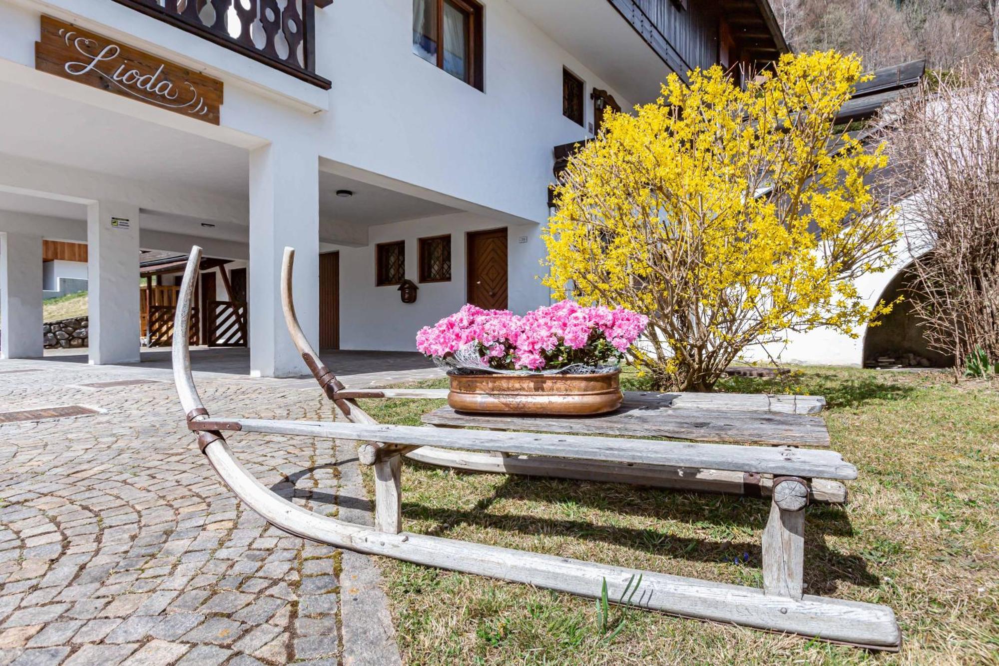 Lioda Living Pieve di Cadore Zewnętrze zdjęcie